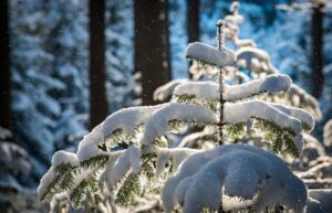尿もれの臭い対策にはどんな方法がある？