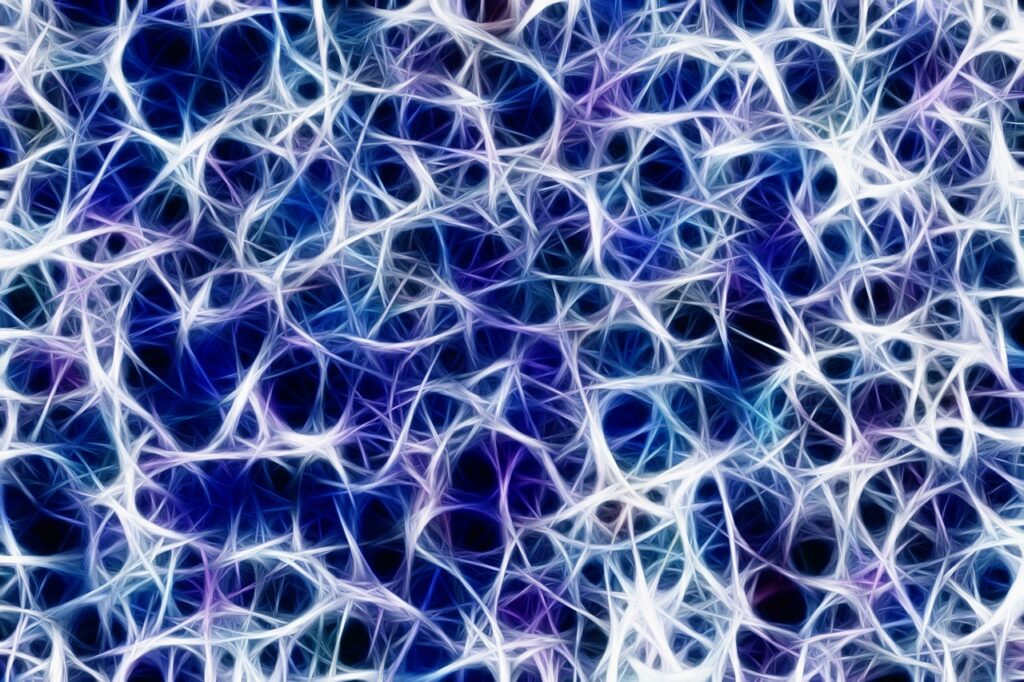 膀胱ケアで自律神経を整えるための効果的な方法は？