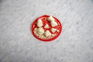 尿もれ予防グッズの選び方はこれで決まり？