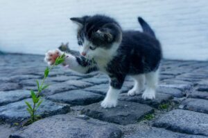 産後のゆるみケアはどれが効果的？比較してみました！