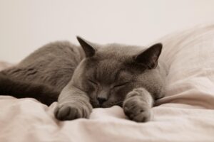 睡眠中の尿もれ対策におすすめの方法は？